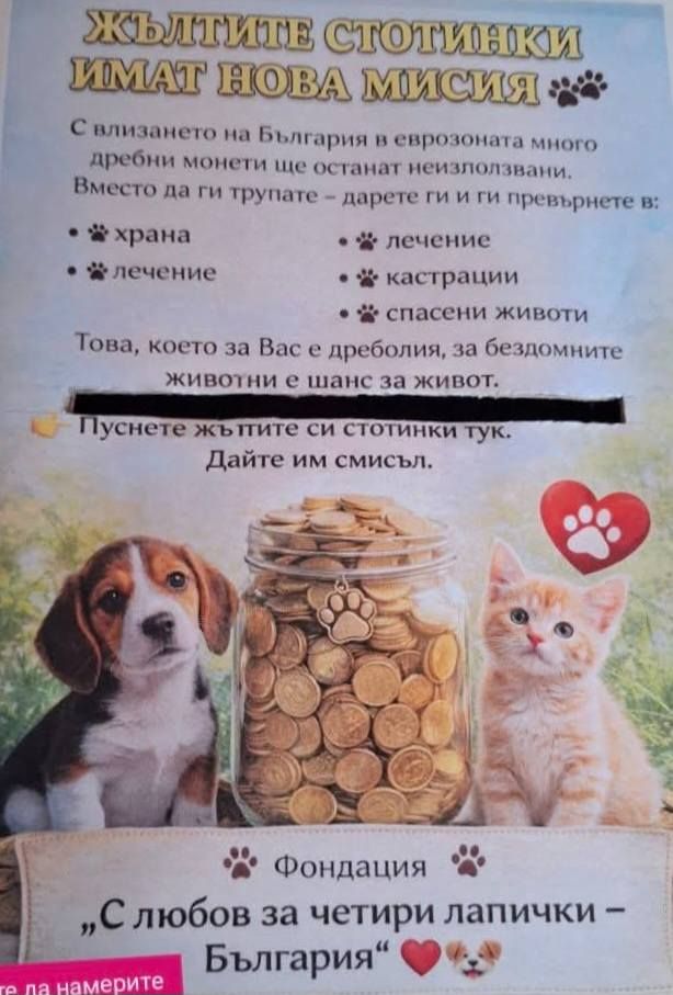 Дори жълтите стотинки могат да имат огромна стойност! 2